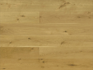 Picture of Monarch Plank - Hokkaido Nara Natural