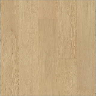 Picture of Ribadao - Fra-Grance Aroma Evoque