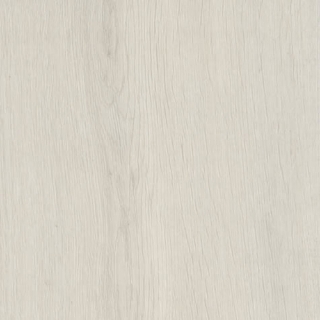 Picture of Shaw Contract - Branching Out Coretec 20MIL Rise Oak