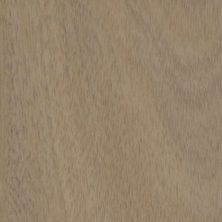 Picture of Shaw Contract - Branching Out Coretec 20MIL Zion Oak