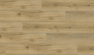 Picture of Responsive Industries - Elevate Andrusia