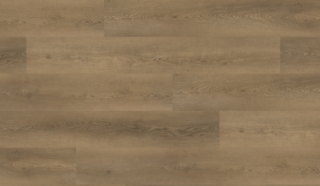 Picture of Responsive Industries - Elevate Clearwater