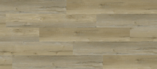 Picture of Responsive Industries - Elevate Nokomis