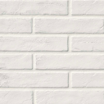 Picture of MSI - Brickstone 2 x 10 White