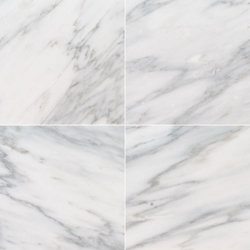 Picture of MSI - Marble 12 x 12 Honed Arabescato Carrara