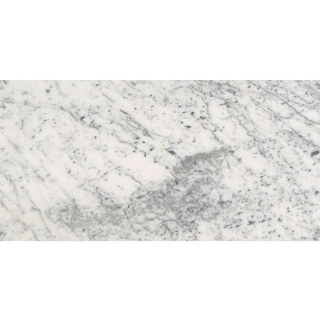 Picture of MSI - Marble 12 x 24 Honed Carrara White