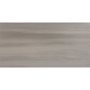 Picture of MSI - Watercolor 12 x 24 Grigio