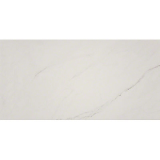 Picture of MSI - Aria 24 x 48 Ice