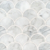 Picture of MSI - Marble Mosaics Other Polished Calacatta Blanco Scallop