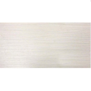 Picture of MSI - Focus 12 x 24 Glacier