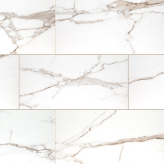 Picture of MSI - Savoy 12 x 24 Matte Crema