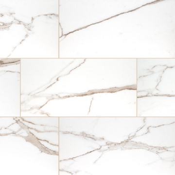 Picture of MSI - Savoy 24 x 48 Matte Crema