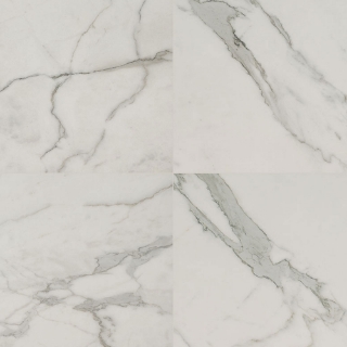 Picture of MSI - Regallo 24 x 24 Calacatta-Isla Matte