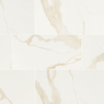 Picture of MSI - Eden 24 x 48 Matte Calacatta