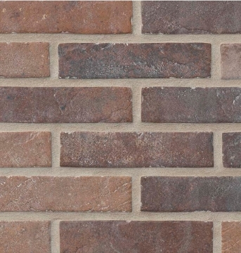 Picture of MSI - Brickstone 2 x 10 Red