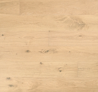 Picture of MSI - Ladson Whitlock