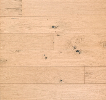 Picture of MSI - Ladson Bramlett