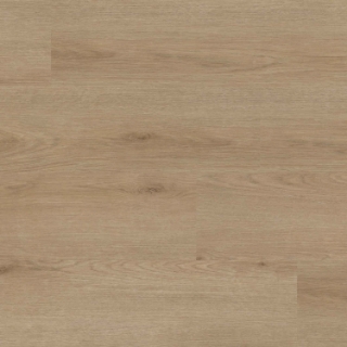 Picture of MSI - XL Studio Bozeman