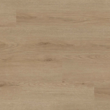 Picture of MSI - XL Studio Bozeman