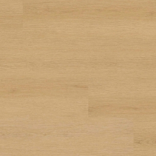 Picture of MSI - XL Studio Roswell