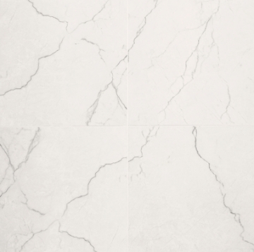 Picture of MSI - Brighton 24 x 24 Polished Grey