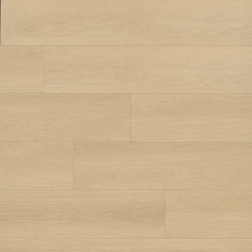 Picture of MSI - Shorecliffs Houston Trail