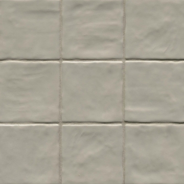 Picture of MSI - Zest 4 x 4 Aloe