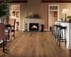 Picture of Bruce - Dundee Wide Plank 5 Low Gloss Natural