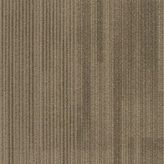 Picture of Patcraft - Speak In Color Burled Wood