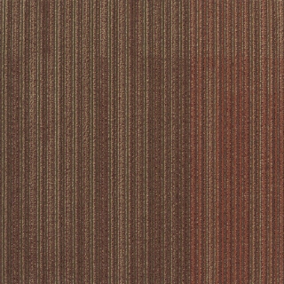 Picture of Patcraft - Speak In Color Perfect Hue