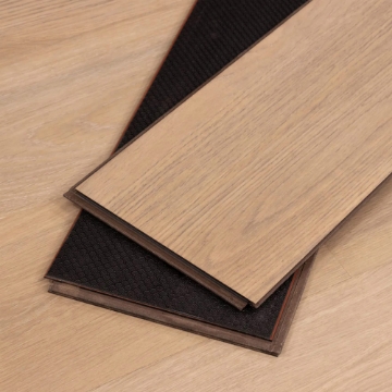 Picture of Cali - Mavericks Sausalito Sunset