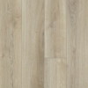 Picture of Shaw Builder - Prominence Plus French Oak