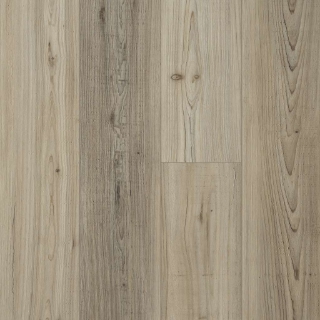 Picture of Shaw Builder - Prominence Plus Light Pine