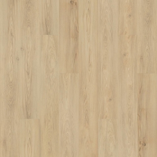 Picture of Mohawk - SolidTech Plus Barker Hollow Hazel