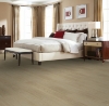 Picture of Mohawk - RevWood Premier Eden Springs Pegasus Hickory