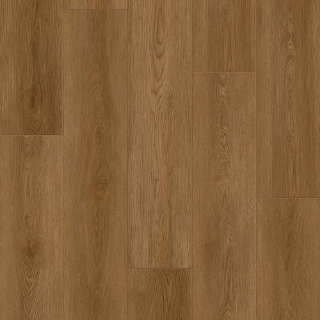 Picture of Durato - V-Evo Max Dresden