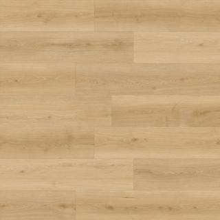 Picture of Durato - V-Evo XL Caramel