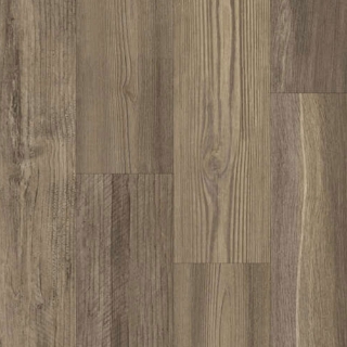 Picture of Happy Feet Intl. - Freedom Kennedy