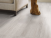 Picture of Shaw Floors - Natural Strata 24 x 24 Vein Cut Grey