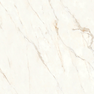 Picture of Bedrosians - Magnifica Nineteen Forty-Eight Calacatta Oro Polished