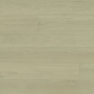 Picture of Monarch Plank - Regent Isabella