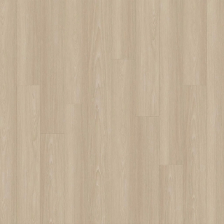 Picture of EarthWerks - Chassis Clutch