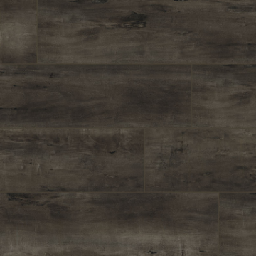 Picture of MSI - XL Cyrus Billingham