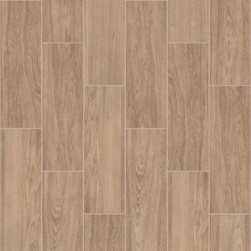 Picture of Shaw Floors - Method 7 x 22 Aerial
