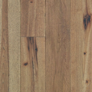 Picture of Raintree - Nashville Scene Music Row