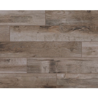 Picture of American Olean - Bryson Valley Petrified Forest