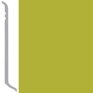 Picture of Burke - Burkebase Type TV Wall Base 1/8 Coved 2.5 Parakeet