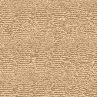 Picture of Burke - Colorscape Sculptured 18 x 18 Desert Sand