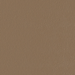 Picture of Burke - Colorscape Sculptured 18 x 18 Ginger