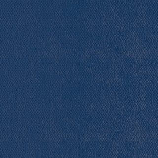 Picture of Burke - Colorscape Sculptured 36 x 36 Peacock